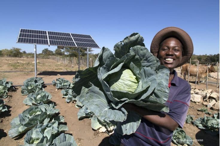 Helping young farmers earn an income they can rely on IKEA Foundation