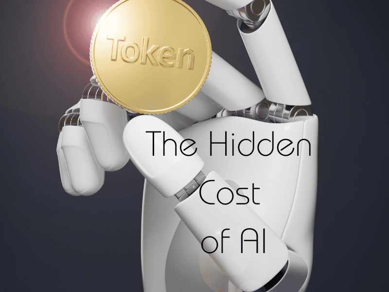 The Hidden Costs of AI