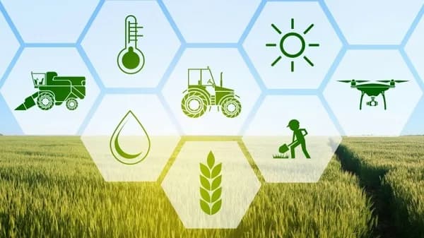 YoLa Fresh secures $7 million funding to transform smallholder farmers’ supply chain