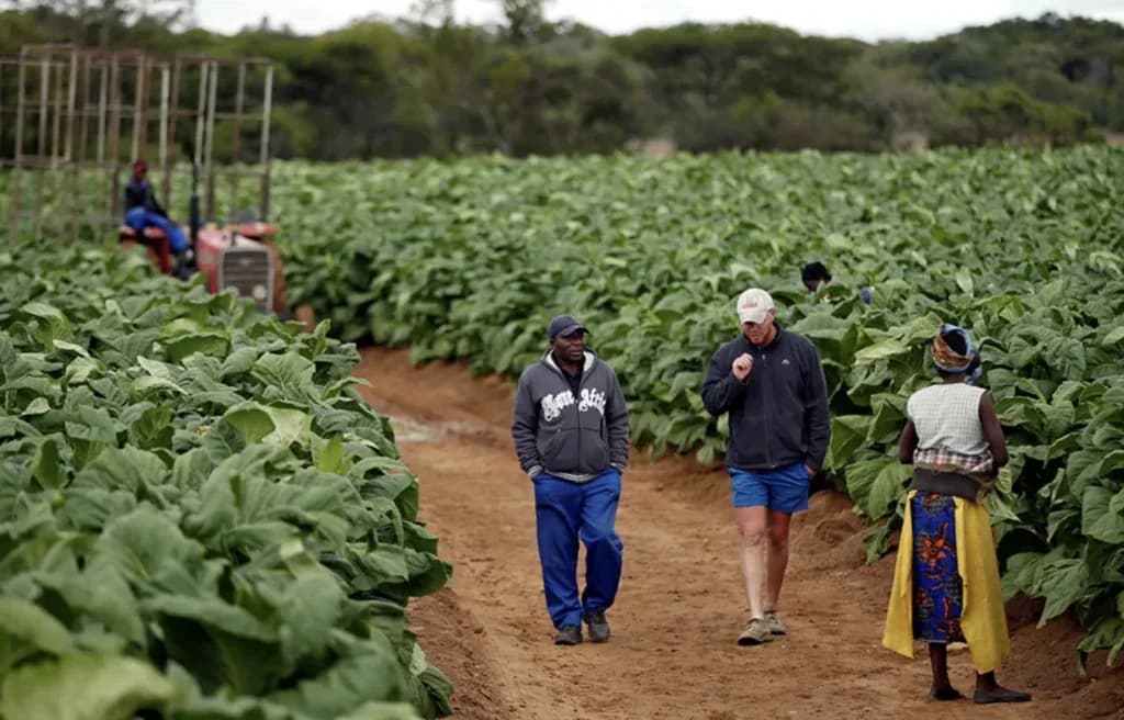 Zimbabwe Begins Farm Restitution as Debt Talks Advance