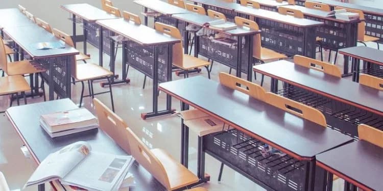 How much does it cost to send a child to private school vs public school in South Africa?