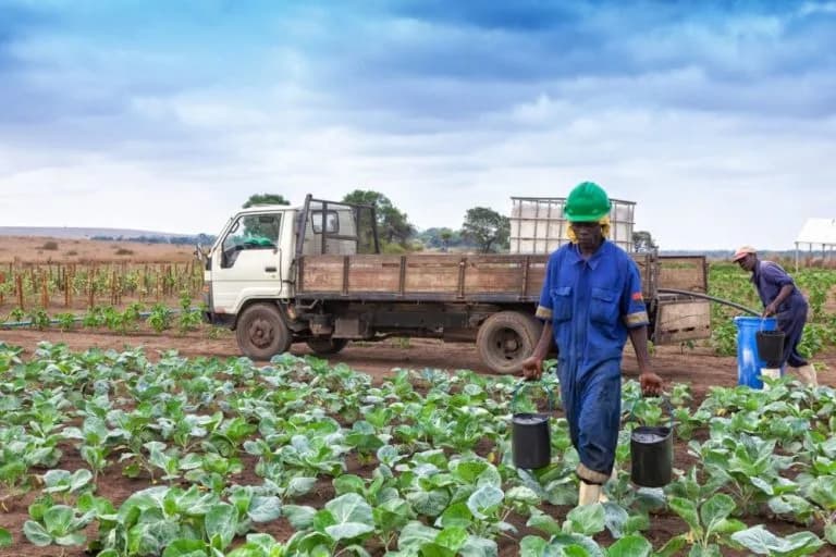 Boosting agricultural investment in Africa