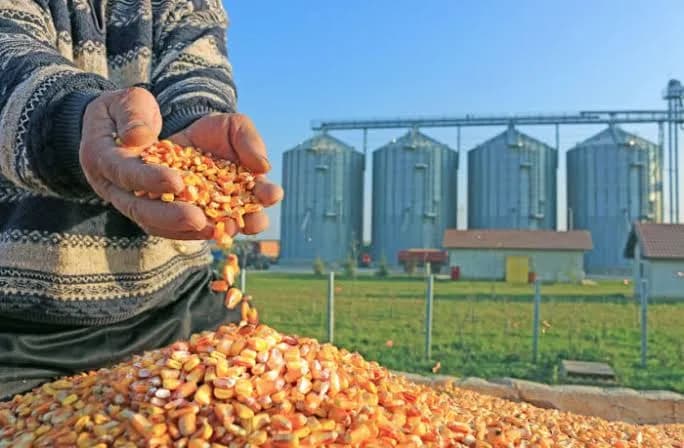 Load-shedding Threatens Food Chain in SA