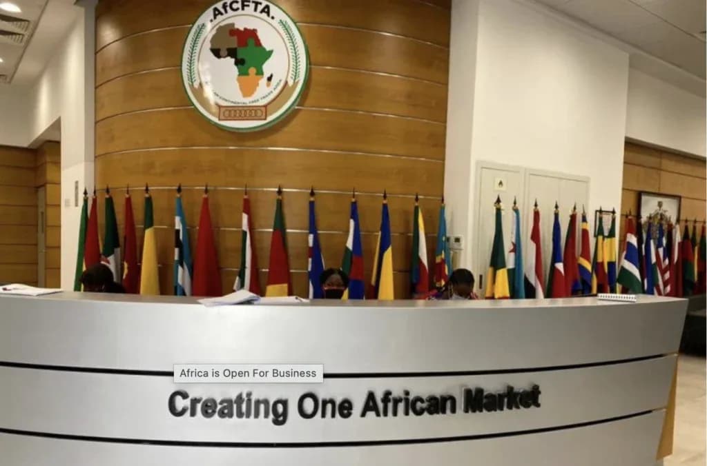 Policy Uncertainty and Political Risks in African Trade Governance