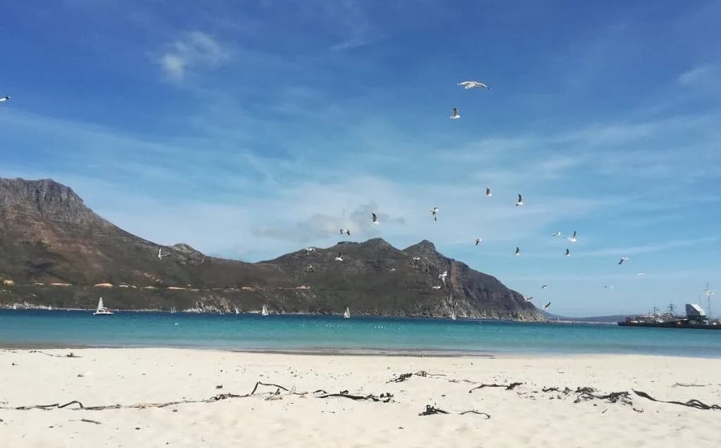 AFTER A TEMPORARY CLOSURE DUE TO SEWAGE POLLUTION, HOUT BAY BEACH HAS REOPENED