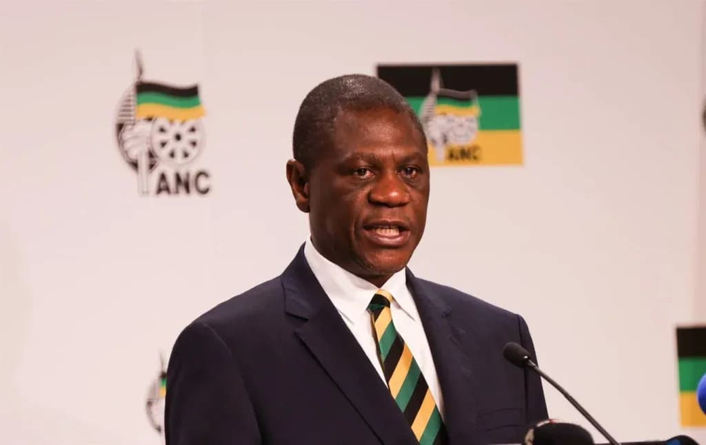 We will not risk total grid failure in order to avoid a few hours of load shedding — deputy president