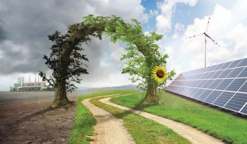 Inclusivity-paves-the-way-to-SAs-new-energy-future