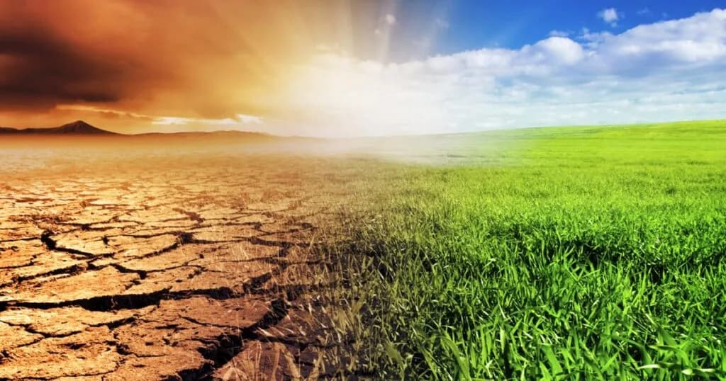 Businesses Must Adapt to Climate Change Risks, Experts Warn