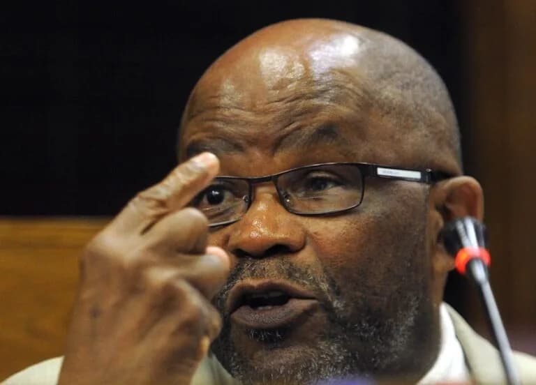 Former Deputy Defence Minister Mluleki George (72) passes away