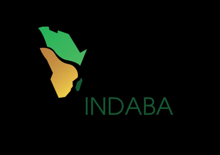 The Impact and Scope of African Mining Indaba 2025: Paving the Way for 2026