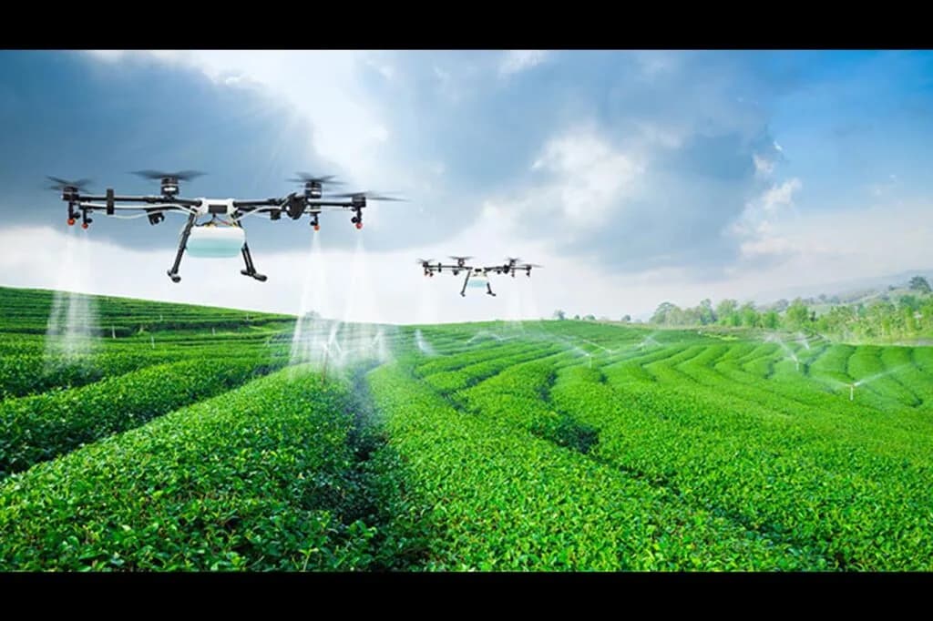 Drones-lift-the-Free-State-Provinces-farming-sector