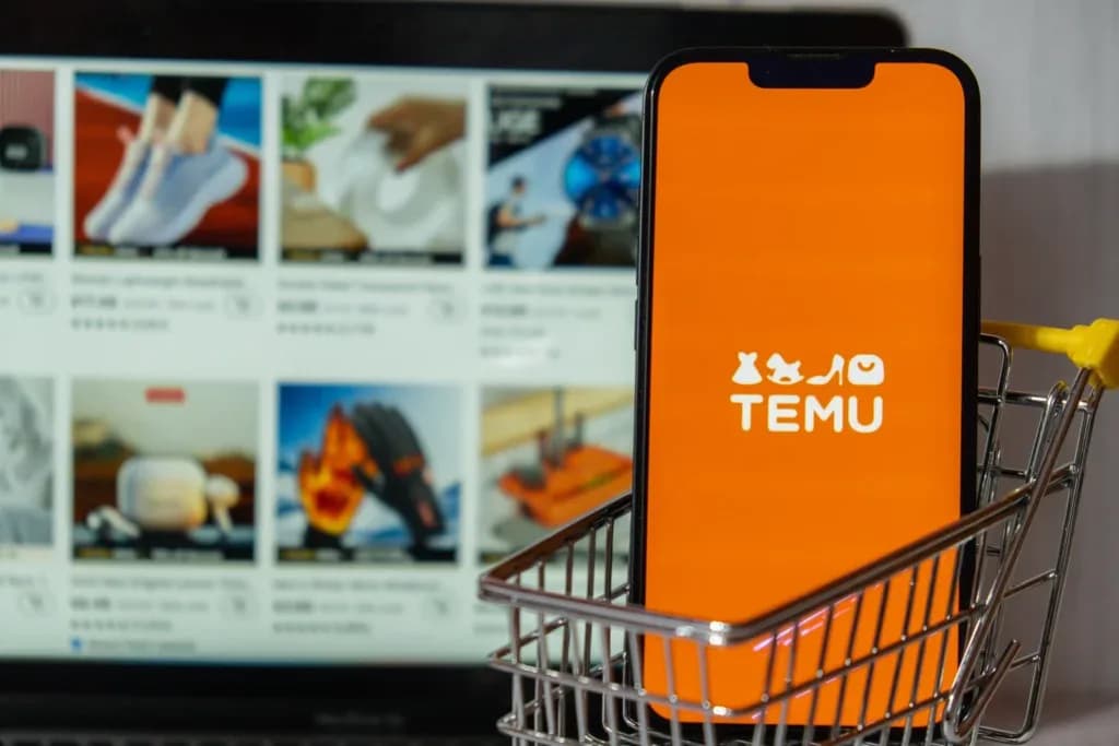 British Shoppers are Sleeping On £3,000 Of Savings Per Year On Goods As ‘Temu Bonus’ is Revealed