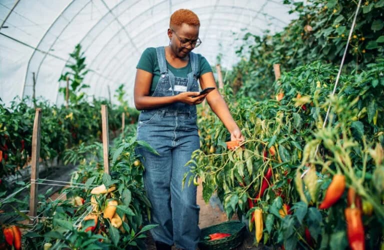 How leveraging technology can help African farmers weather climate change