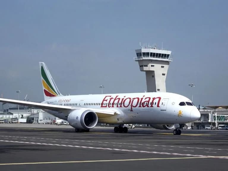 Ethiopian Airlines partners with Boeing to ferry human aid on Boeing 737