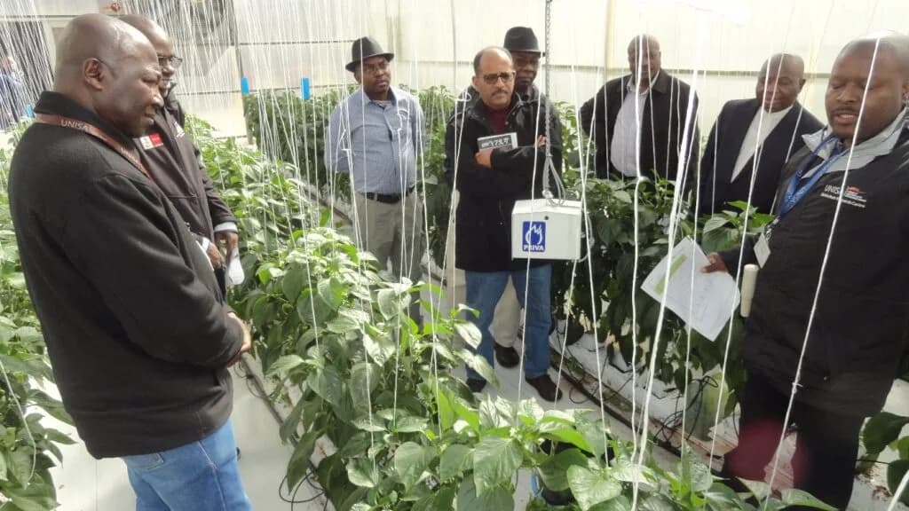 (SPONSORED) Unisa College of Agriculture and Environmental Sciences