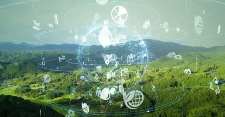 How sustainability became a foundational pillar to building a successful business and tips for incorporating more sustainable practices in the office and beyond