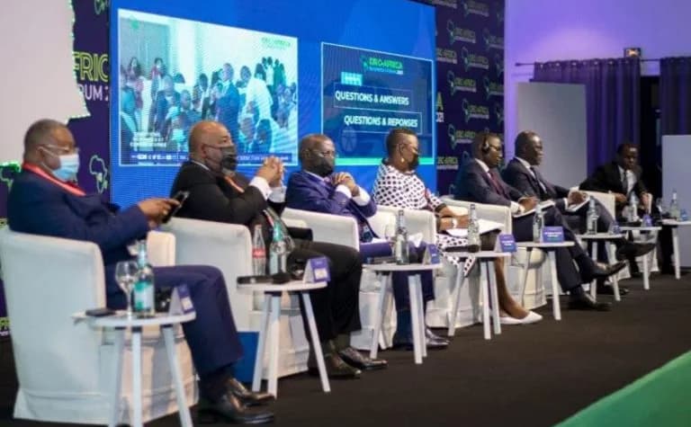 The DRC's dream of an Electric Battery Industry in the country takes flight
