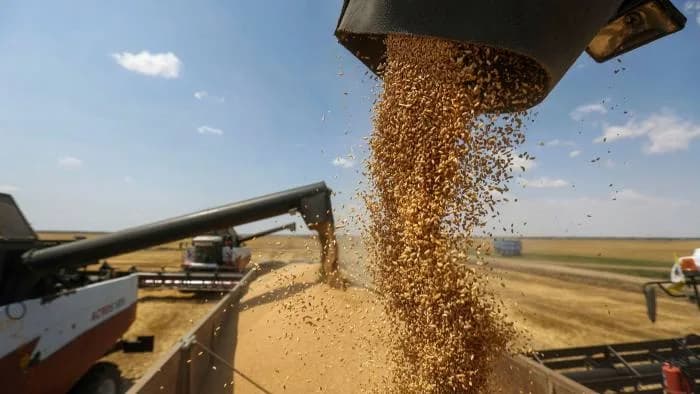 How the Russia-Ukraine battle will affect agriculture imports and exports