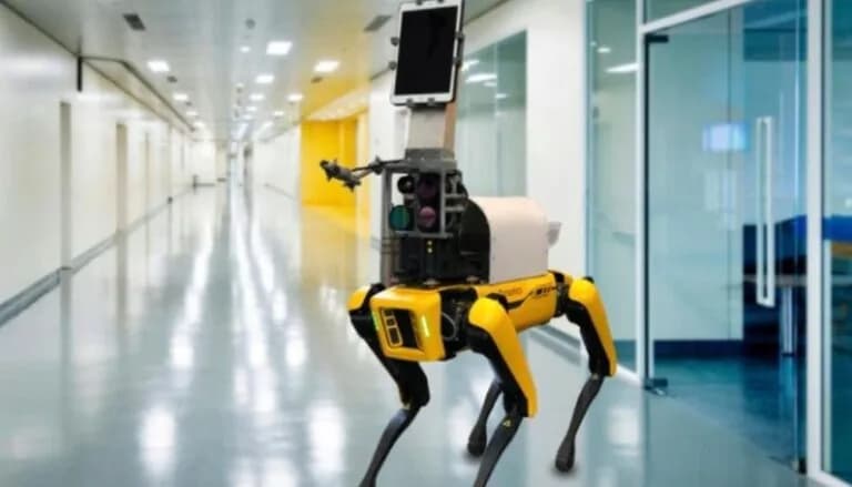 Hyundai reportedly in talks to buy robot-maker Boston Dynamics