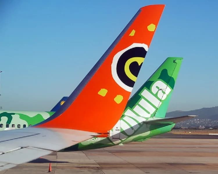 SA airlines set to lose $2.2bn, plea for government support