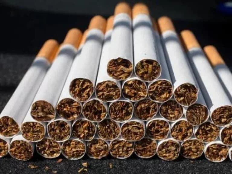 Minister Enoch Godongwana announces alcohol and cigarette tax hikes in 2023