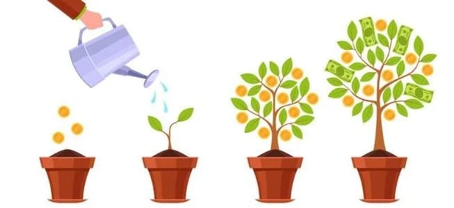4 Ways Business Financing Can Help Your Company Grow and Scale