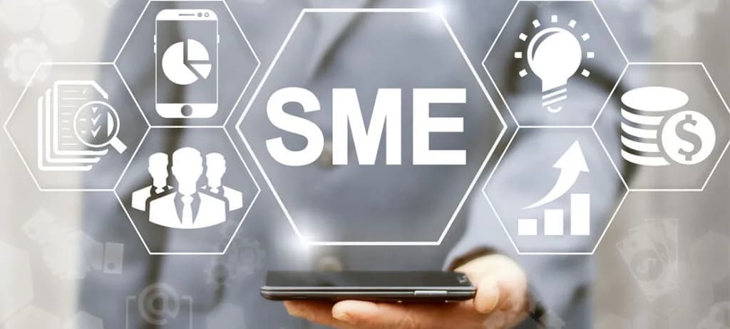 SME Landscape in South Africa