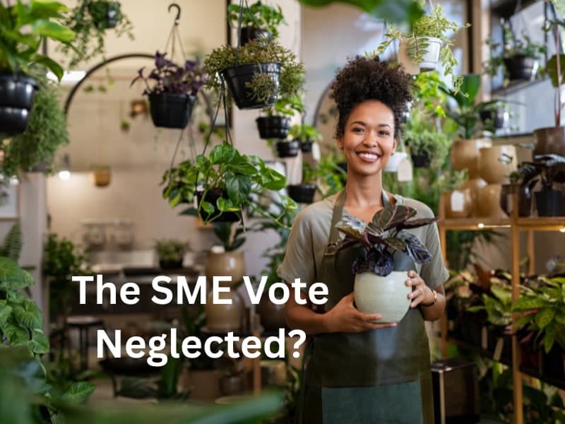The SME Vote Neglected