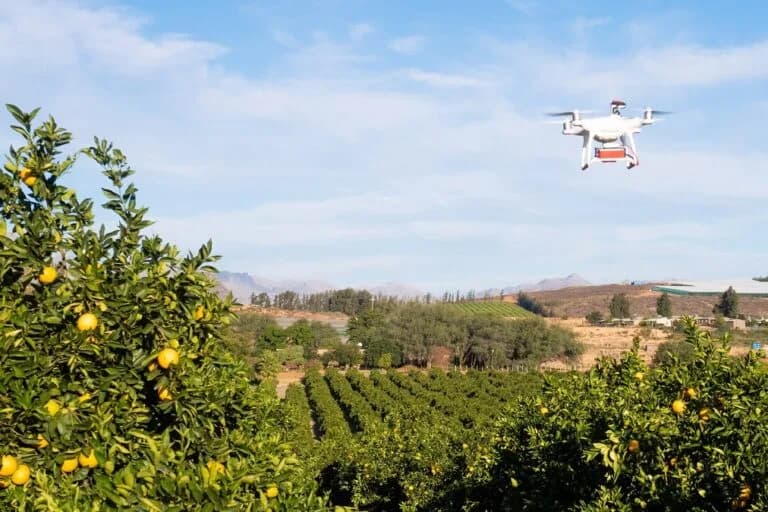 Naspers Foundry invests $5.6m in agritech business, Aerobotics