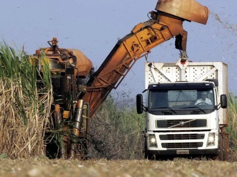 New consortium of cane growers plans to buy Tongaat-Hullett’s assets