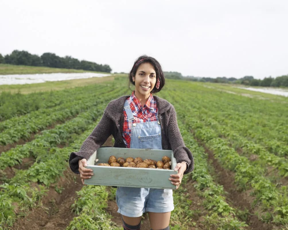 Yara, IBM launch an open collaboration for farm and field data