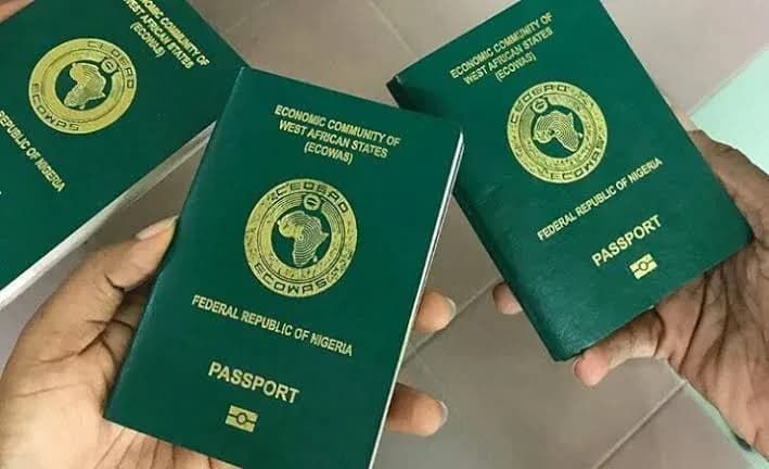 Ministry of Interior, Immigration Service launches digital portal for passport booking, renewal and visa applications
