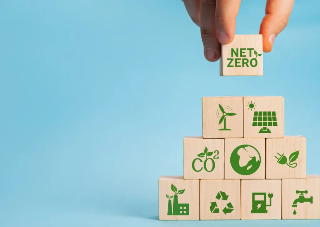 Harnessing the power of the circular economy is at the heart of transforming waste management – Kimberly Clark