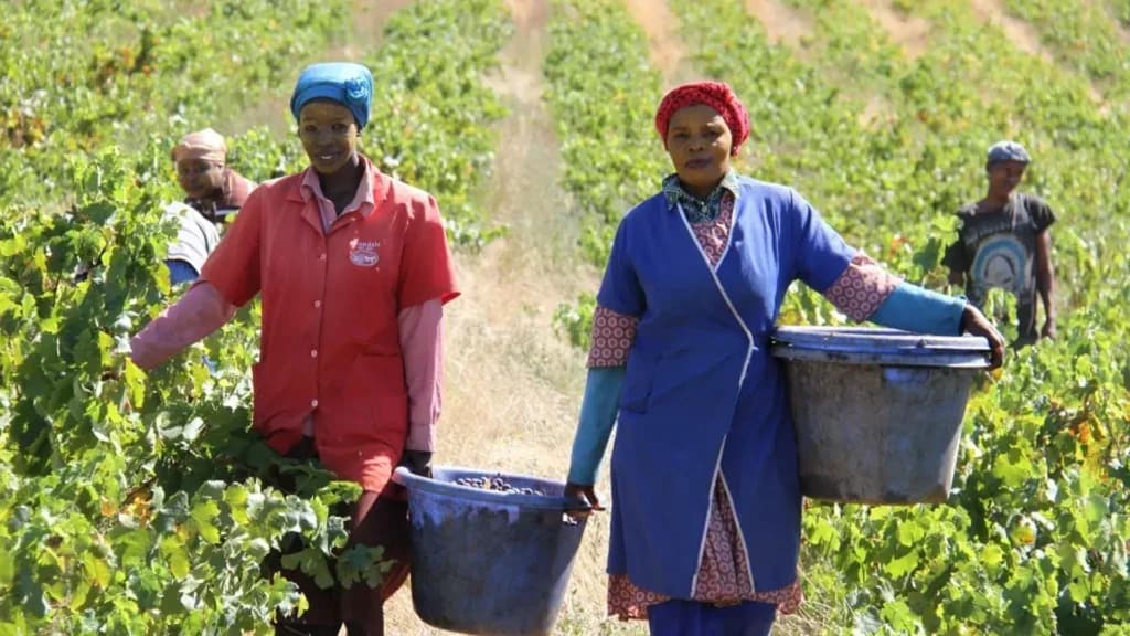 One of South Africa's most vital job sectors is experiencing a hiring boom