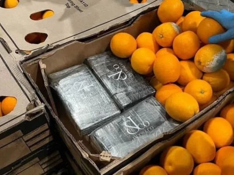 R75 million cocaine concealed in oranges found in the UK from South Africa