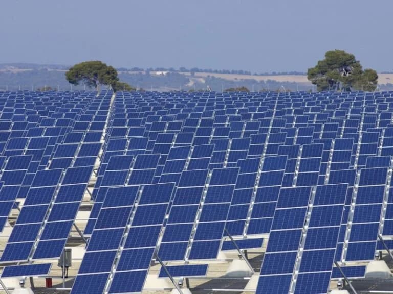 Zimbabwe tenders for 500MW solar power plants in renewable energy drive
