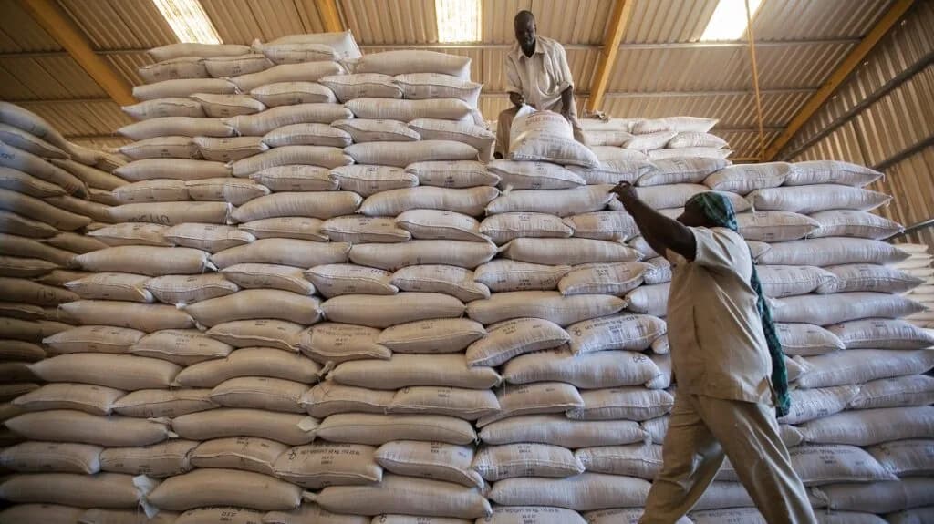 Ukraine war to cut global trade growth, warns WTO
