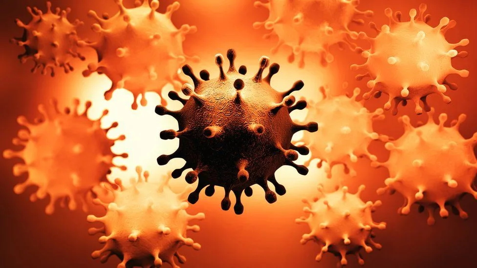 Covid: How worrying are the UK, South Africa, and Brazil coronavirus variants? - BBC News