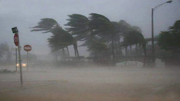 Parts of SA bracing for tropical cyclone Eloise - SABC News - Breaking news, special reports, world, business, sport coverage of all South African current events. Africa's news leader.