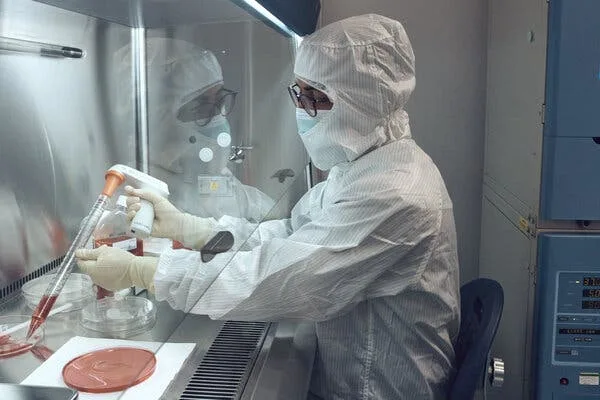 A worker at 3DBio Therapeutics in Long Island City, Queens, applied nutrients to a sample ear implant in a clean room.