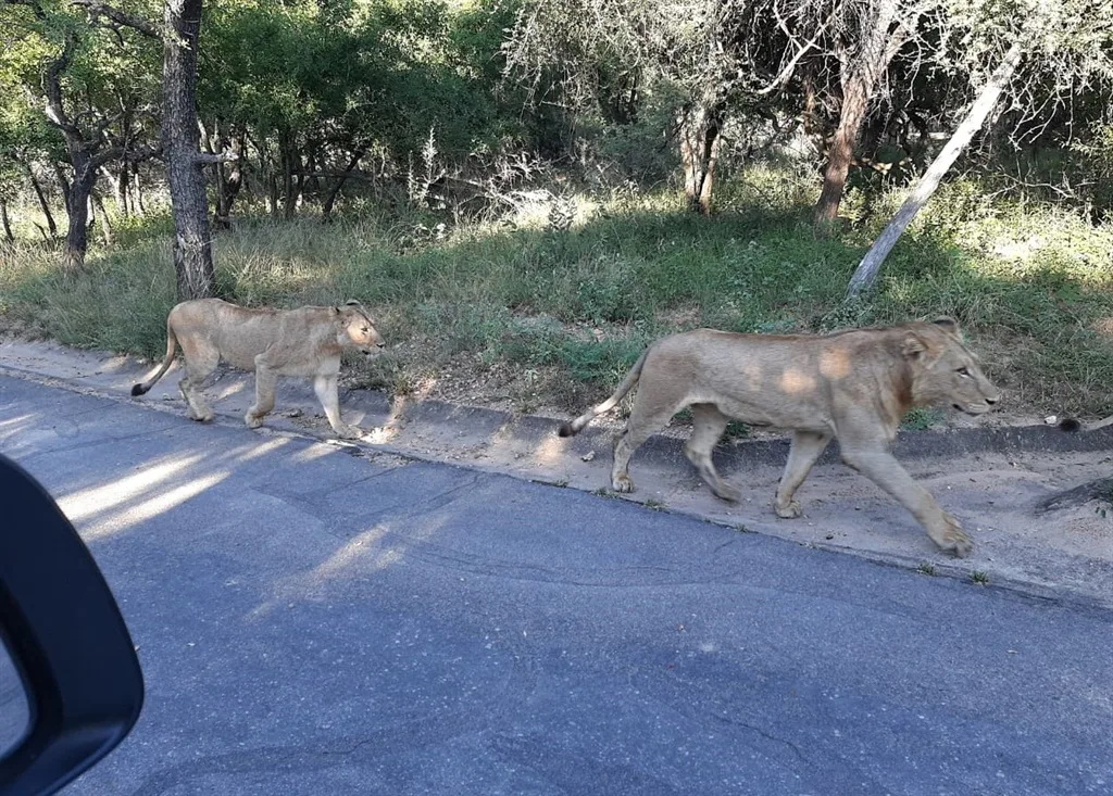 Photo: Johan Malan/SanParks