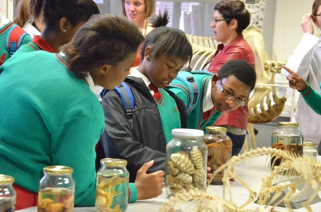 (SPONSORED) Unisa College of Agriculture and Environmental Sciences