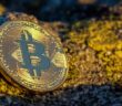 Bitcoin crash: More than $200B were wiped out of the #crypto market over the weekend