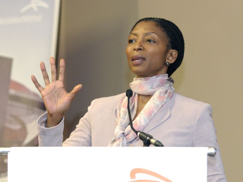 Standard Bank chairperson urges African governments to work with the