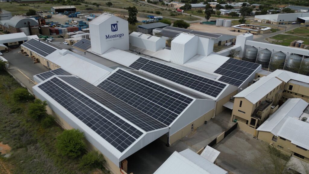 Montego’s R33 Million Leap into Solar Energy, Business Tech Africa